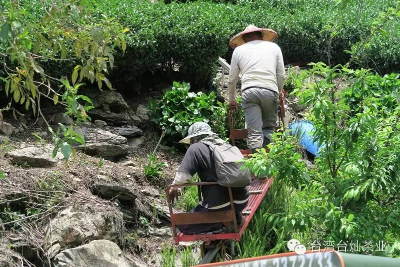 人生百態,靜坐而候