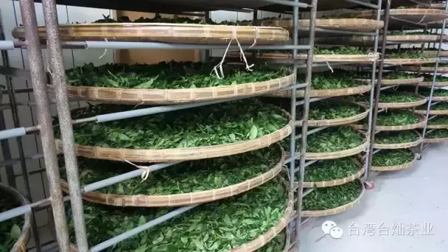 人生百態,靜坐而候